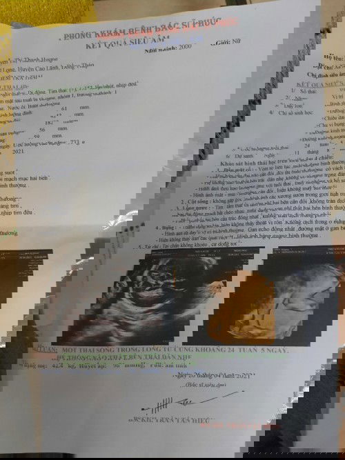 Tập đầu . Bầu 24w ...