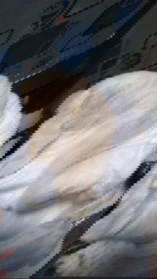 numpang tanya mohon dijawab