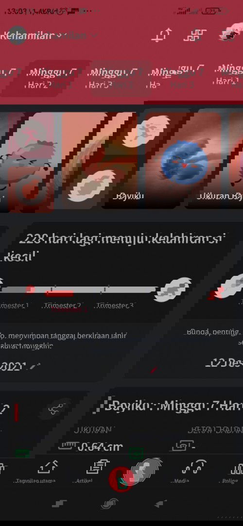 Pemantau Kehamilan Membantu para Bunda Melihat bagaimana bentuk Janin yang ada di Perutnya