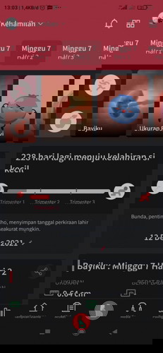 Pemantau Kehamilan Membantu para Bunda Melihat bagaimana bentuk Janin yang ada di Perutnya