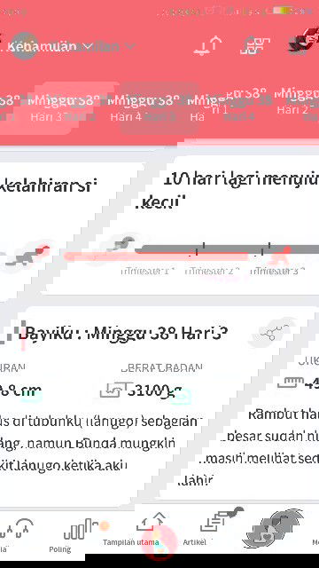 Menunggu gelombang cinta dari Dede utun