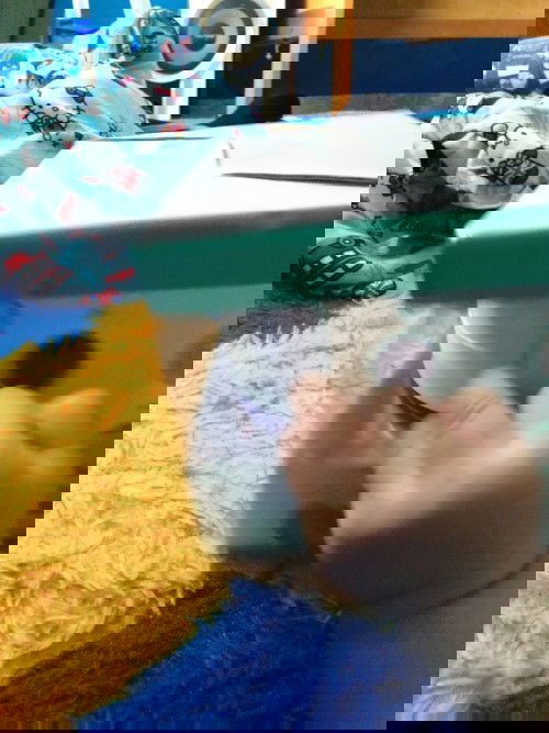 Ada yang nyalain petasan depan rumah