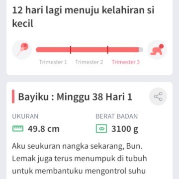 Janin masuk panggul tapi belom lahiran?