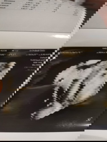 ใครดูออกบ้างคะ