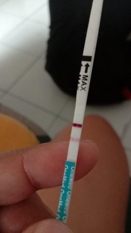 Hasip tespack