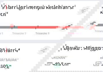 Siapa yg hpl awal mei...