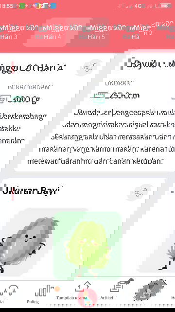 hallo para bunda, mau nanya, korset penyangga perut bumil itu perlu gak ya ?  usia kehamilan ku 21w.