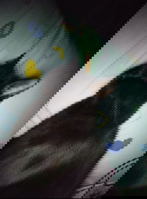 Galau banget mak😓