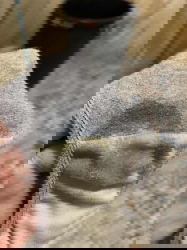 กำหนดคลอด17 พ.ค