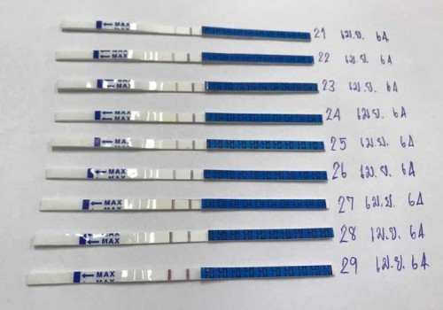 การทดสอบไข่ตก