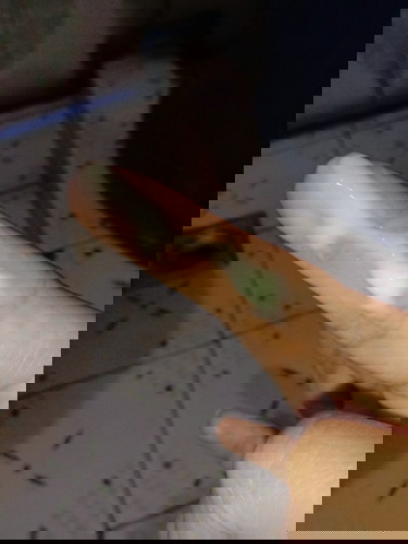 ANO KAYA SIGN NETO ?