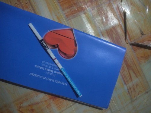 Hamil beberapa minggu