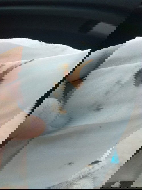 สอบถามแม่ๆหน่อยค่ะ