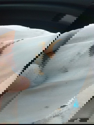 สอบถามแม่ๆหน่อยค่ะ