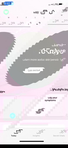 PREGNANT ATAU TAK?
