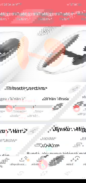 7week3daykehamilan pertama