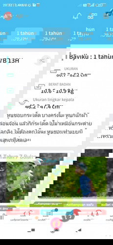 Lah ini gimana?