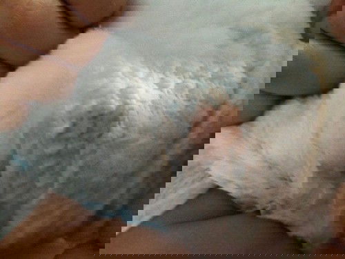 Bantu jawab jangan di bully