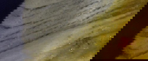 ลูกถ่ายมีมูกเลือดปน