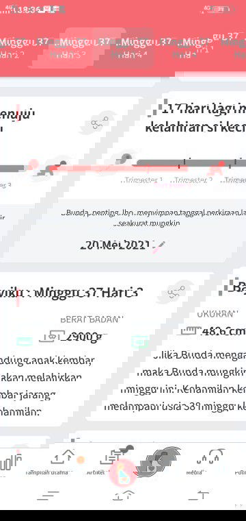 Menunggu kelahiran debay