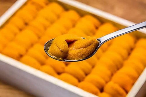 อูนิ ไข่หอยเม่น