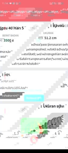 Sudah lewat Hpl
Mohon doanya bun. Sdh brbagai cara dlakukan tpi dedek blm pngen keluar juga. 😭