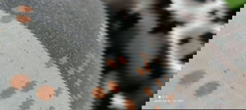 Ano po Ang gamot para sa namumula at mahapdi na singit ni baby, 10months old.