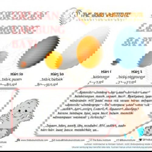 ASI Sedikit Pascamelahirkan