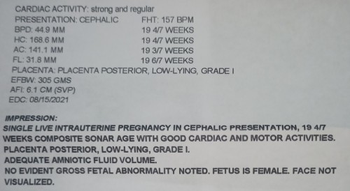 POSTERIOR PLACENTA LOW LYING GRADE 1