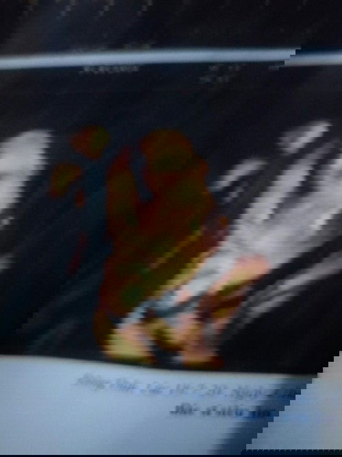 trâu đực nhà e, đag nút ngón tay .35w4d rồi 😊