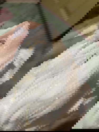 จากที่เมื่อตอนกลางวันไปหาหมอด้วยอาการปวดท้องแต่ปากมดลูกยังไม่เปิดหมอเลยให้กลับมาสังเกตอาการที่บ้าน