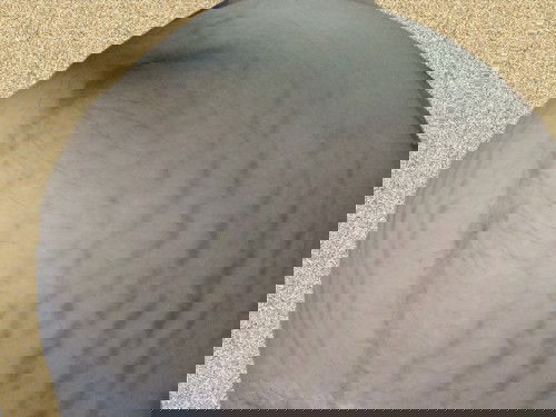 เดือนที่9 แตกหนักมาก