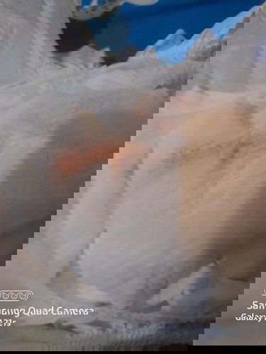 Bercak oranye di pampers