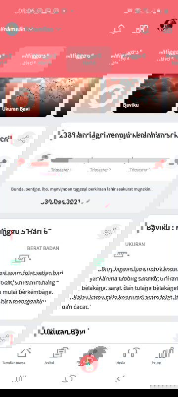 Trimester pertama berapa bulan