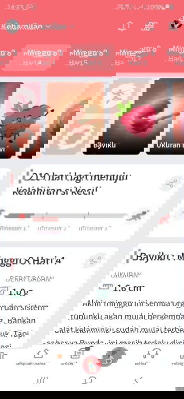 Orang tua terlalu perhatian