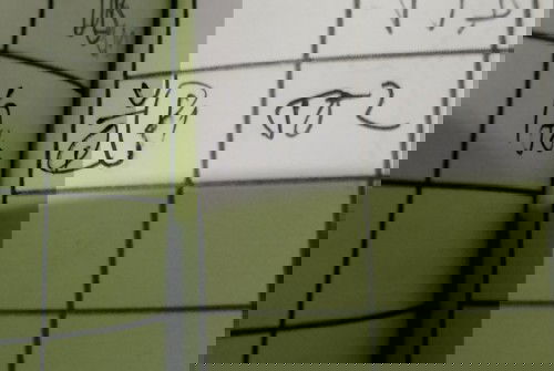 Arti letak janin pada buku kia