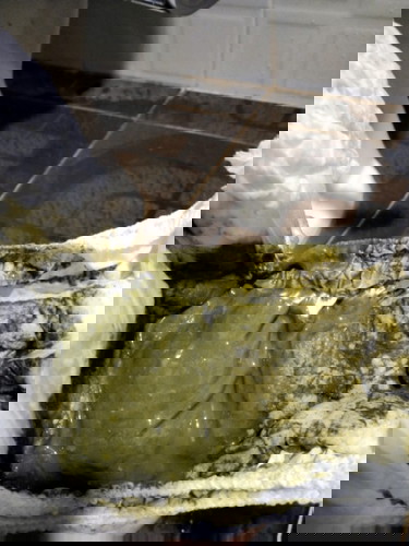 สอบถามหน่อยค่ะน้องถ่ายเป็นสีเขียวดำๆเป็นน้ำเเบบนี้เปนไรมั้ยค่ะ