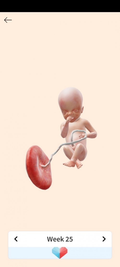 เมื่อวานไปซาวด์มา คุณหมอบอกว่ากรวยไตข้างซ้ายน้องโตนิดหน่อย แม่ๆท่านไหนเคยเจอเคสแบบนี้บ้างคะ 25w