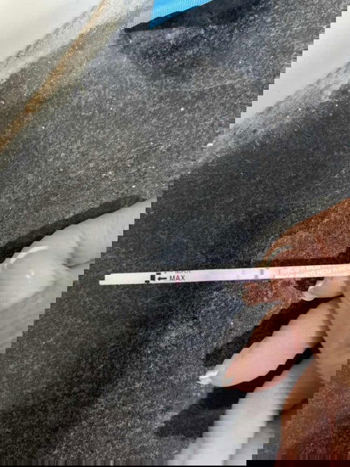 ปจด ไม่มาแค่ 1 วันลองตรวจ