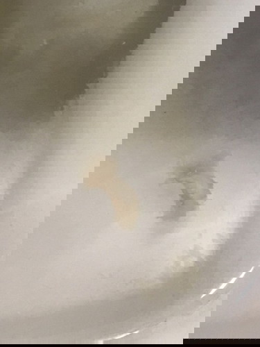 ตั้งครรถ์ 9 สัปดาห์ มีเหมือนเมือกเยื่อไสีน้ำตาลหน่อยๆออกมา จะเป็นอะไรมั้ยคะ