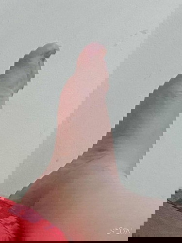 ขอสอบถามค่ะ ท้องคนแรกค่ะ