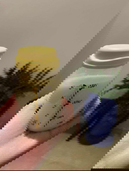 What are your simple joys in life?