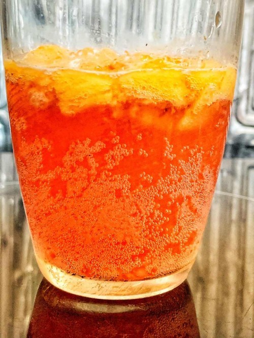Kombucha time