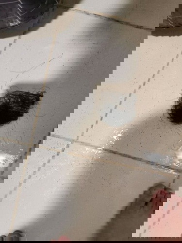 Hairfall ( normal paba?)