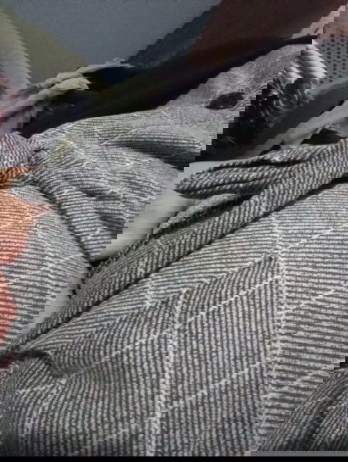 Gerakan janin terasa di perut mulai usia kandungan berapa?