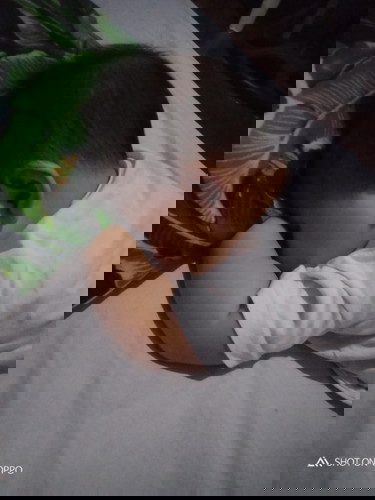 Baby teeth problem😪