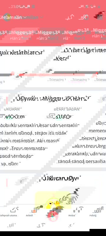 Degdegan menanti kehadiran si kecil