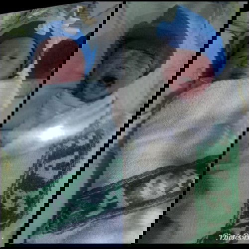 Baby Twins Launching