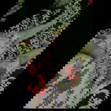 usia kandungn 20minggu berat naik cuma 1 kg , minta solusinya.