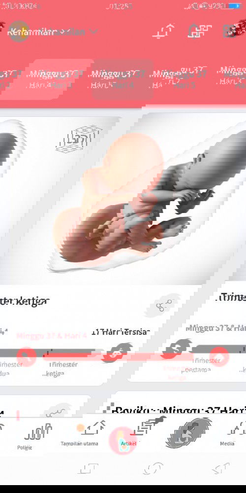 Semoga lebaran sudah bertiga